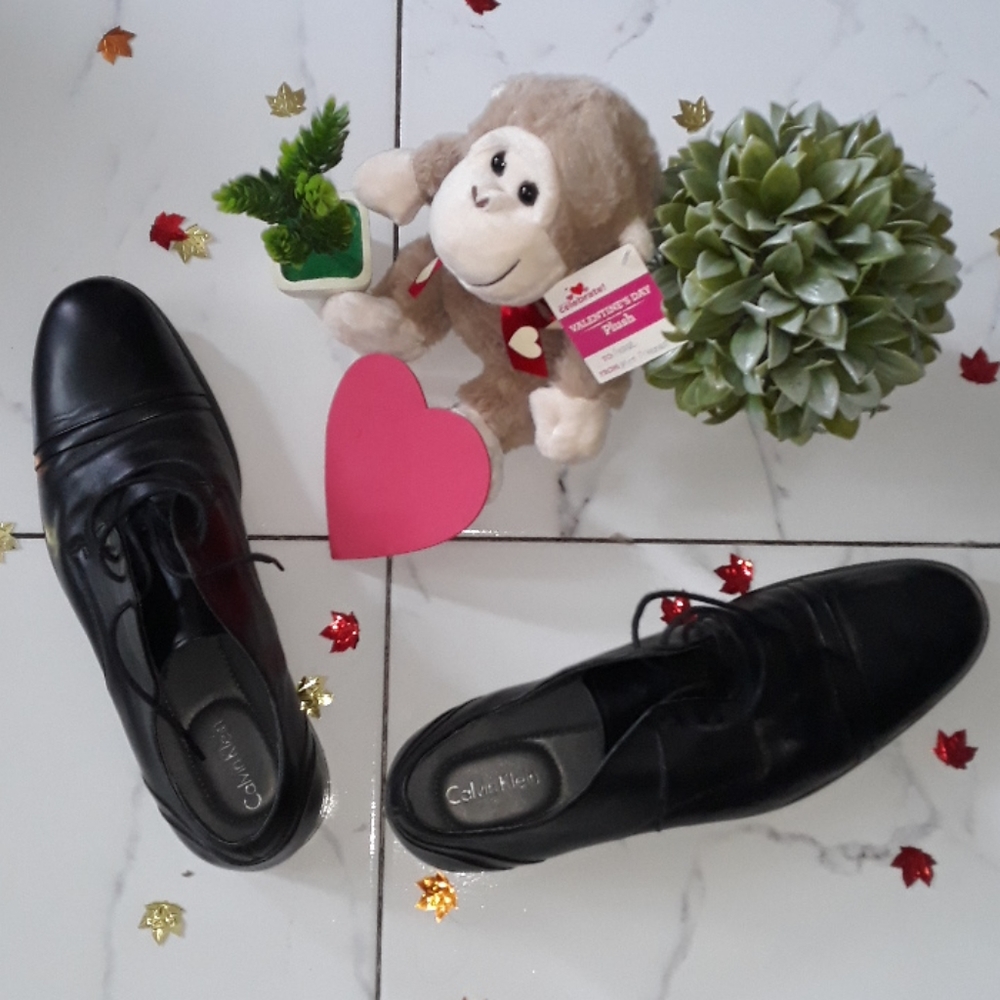 Calvin klein oxford shoes